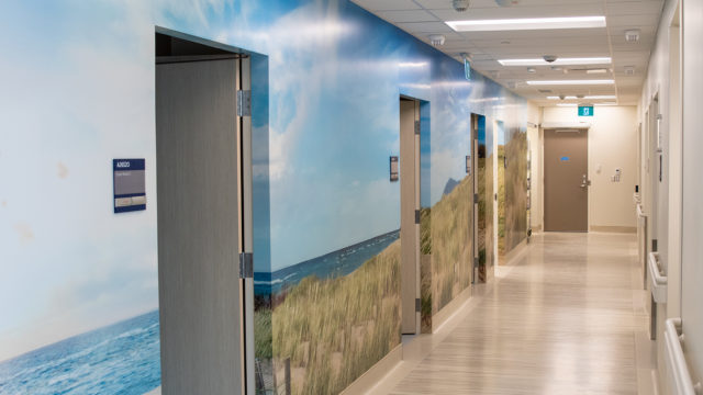 the hallway in the breast health centre, one wall has a beach scene painted along it