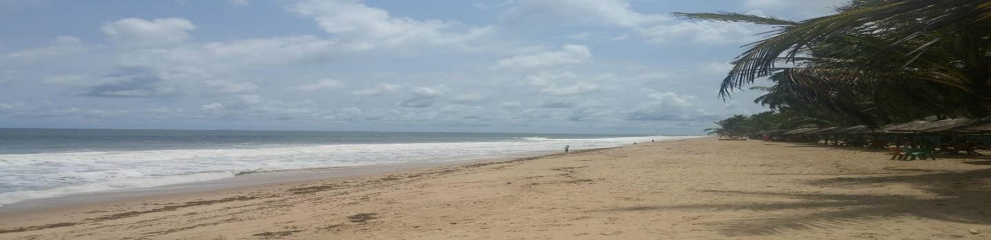 a beach in nigeria, the water can be seen on the left, palm trees on the right