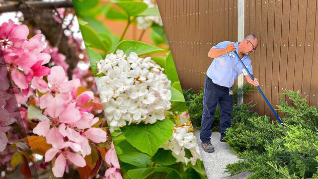 image of flowers and oak valley health's groundskeeper, terry king