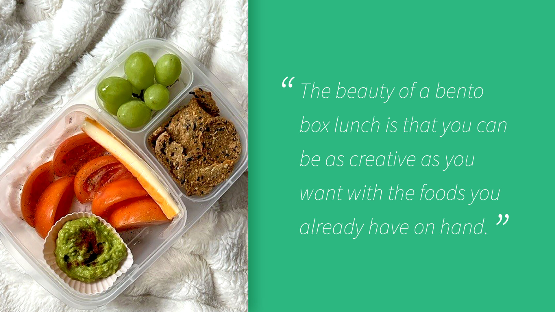 graphic image of a bento box curated by rebecca liang, oak valley heath's registered dietitian